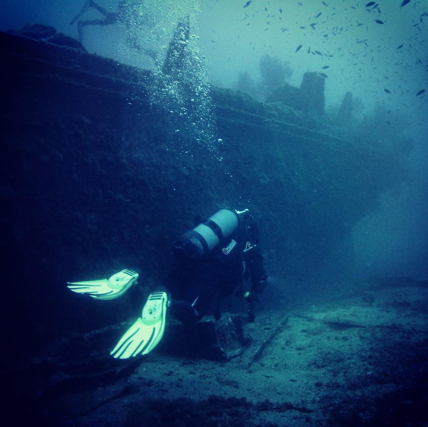 #epave #diving #mediterranean #les2frères #40m #arroyo #jacktroster avec Céline ⛴👌